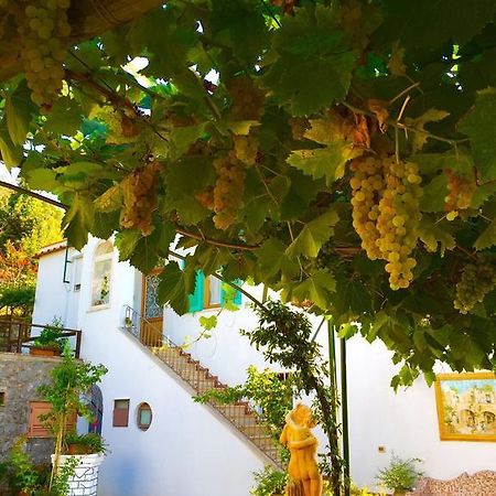 B&B Il Grappolo Ανακάπρι Εξωτερικό φωτογραφία