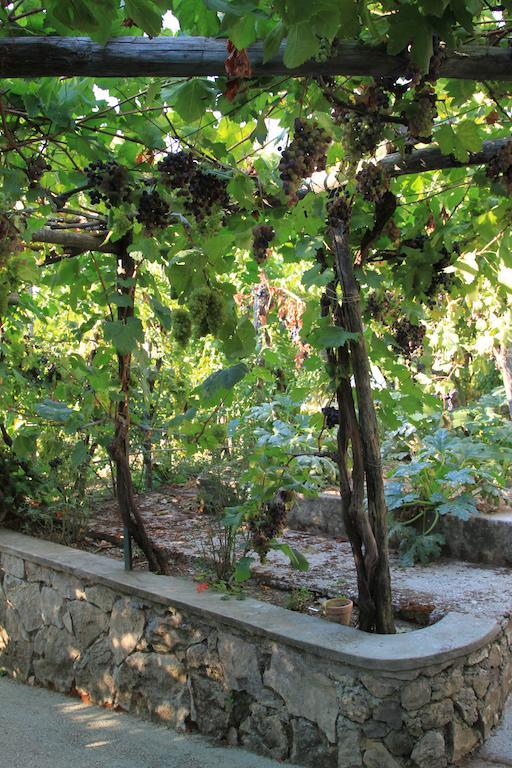 B&B Il Grappolo Ανακάπρι Εξωτερικό φωτογραφία
