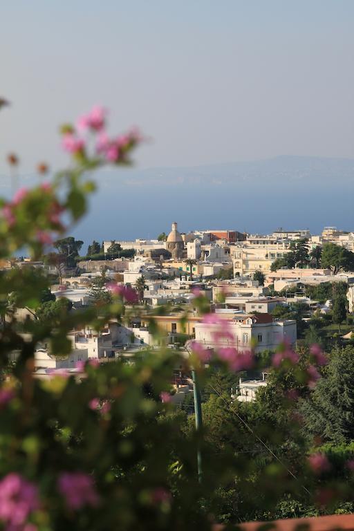 B&B Il Grappolo Ανακάπρι Εξωτερικό φωτογραφία