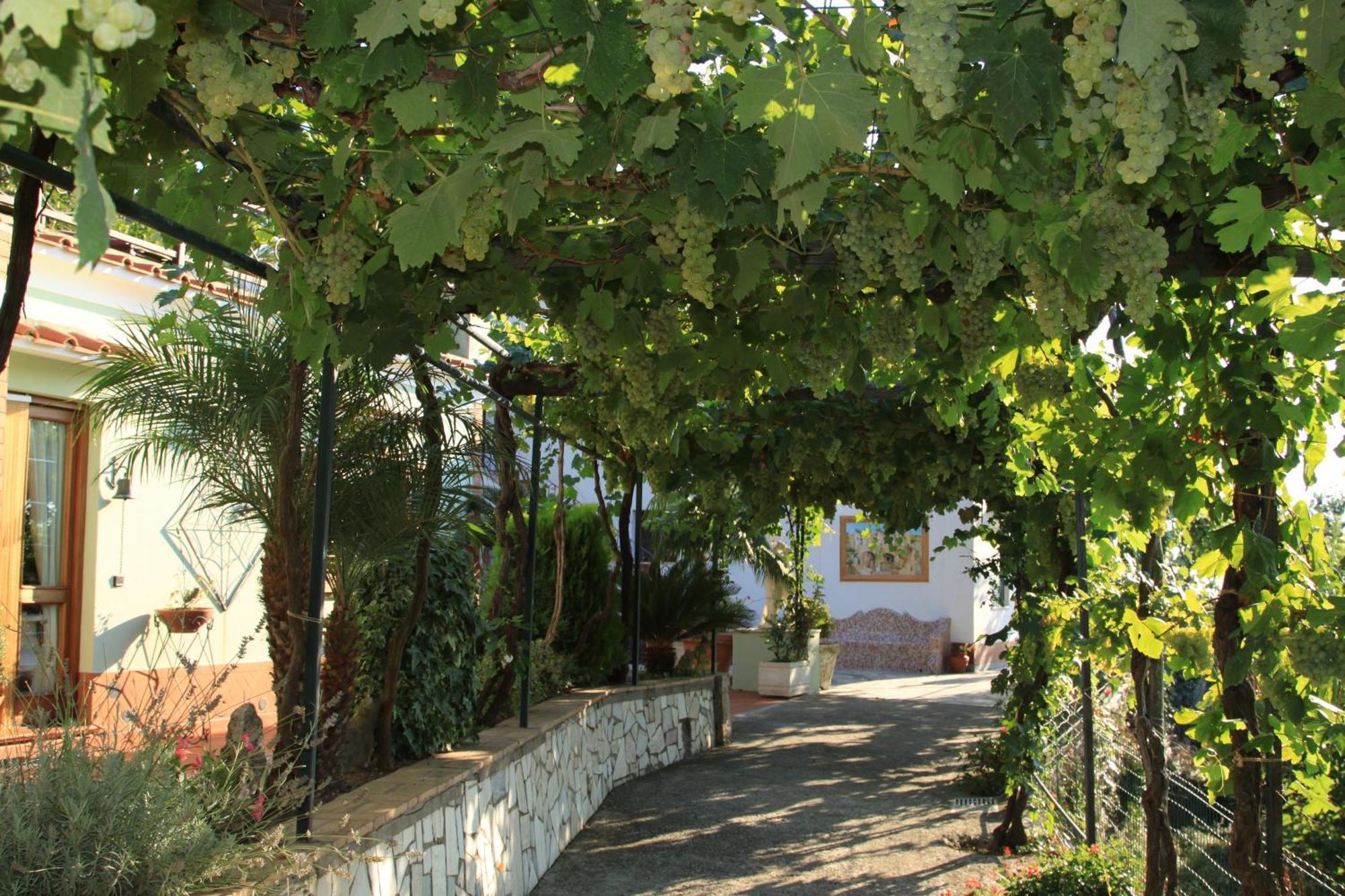 B&B Il Grappolo Ανακάπρι Εξωτερικό φωτογραφία