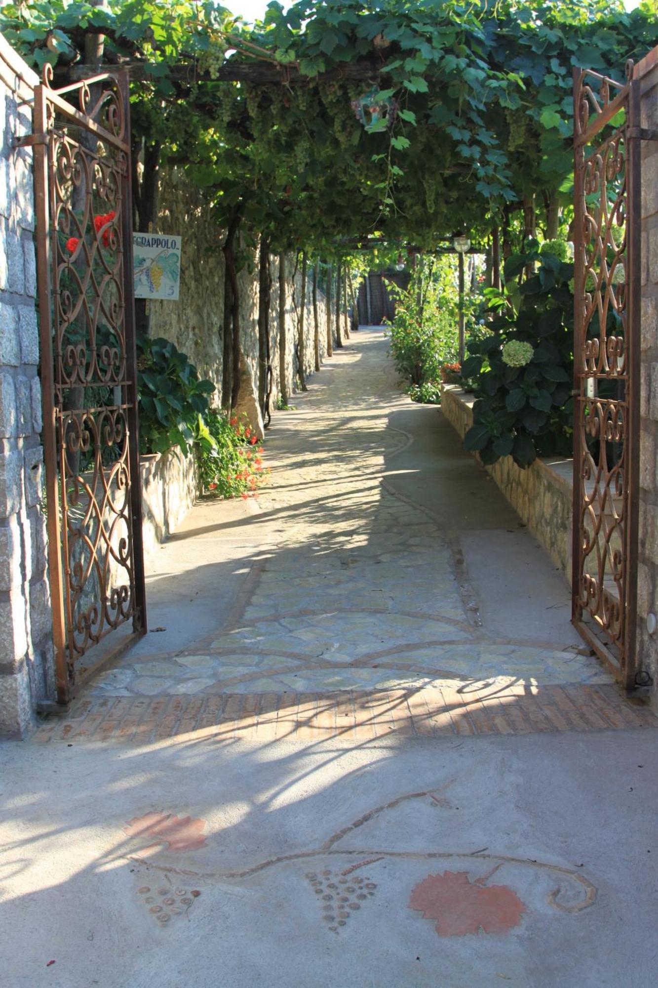 B&B Il Grappolo Ανακάπρι Εξωτερικό φωτογραφία