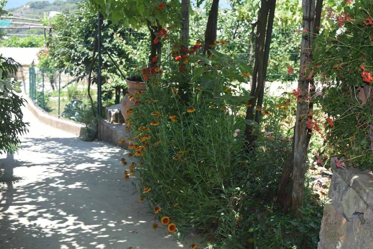 B&B Il Grappolo Ανακάπρι Εξωτερικό φωτογραφία