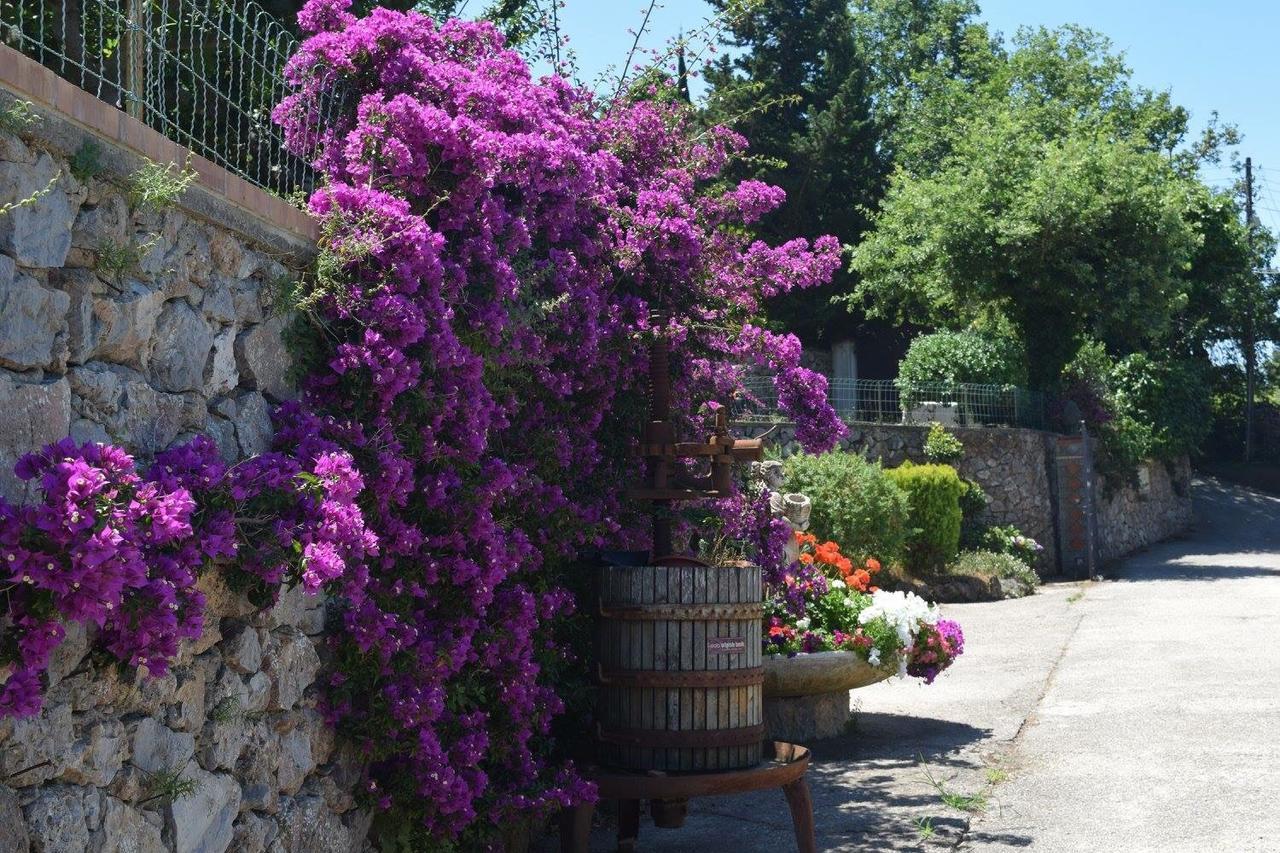 B&B Il Grappolo Ανακάπρι Εξωτερικό φωτογραφία